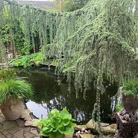 Haus Am Braunschweig